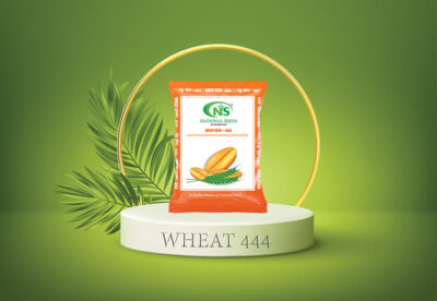 444 WHEAT -30 KG